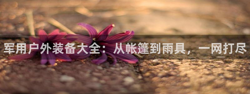 利记app官网入口