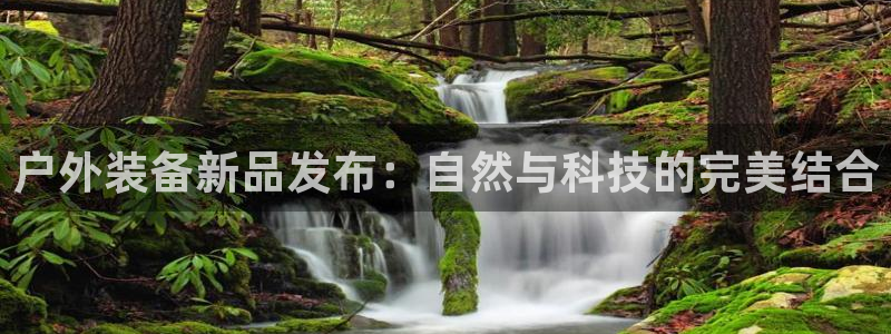 利记体育在线官网