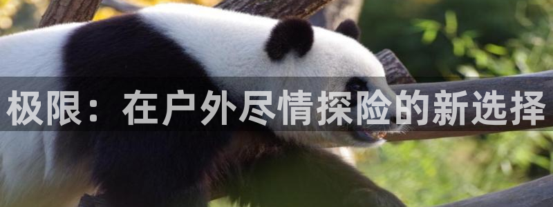 SBOBET利记官网
