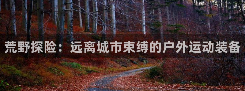 sbo利记体育官网