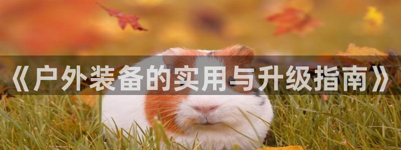 香港利记集团官网旗舰店