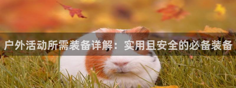 利记足球官网
