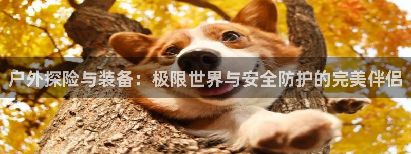 利记官网加盟