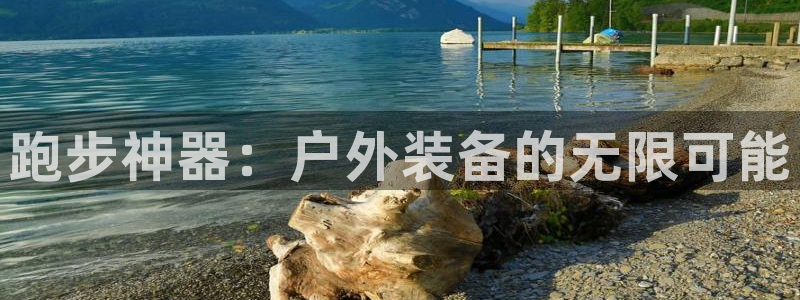 利记官网a