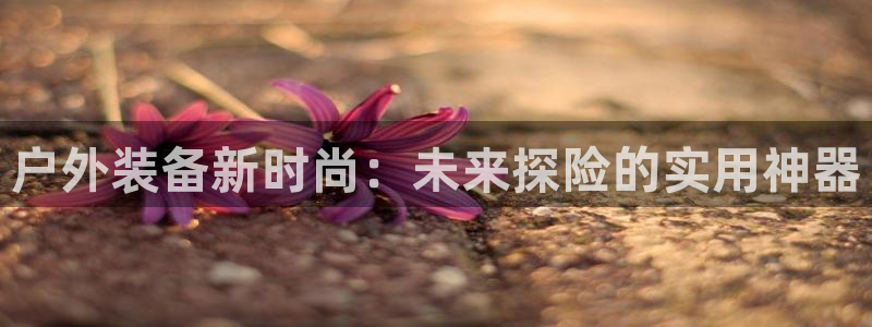 万利记唯一官网