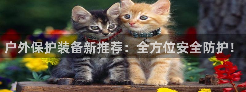 利记亚洲官网