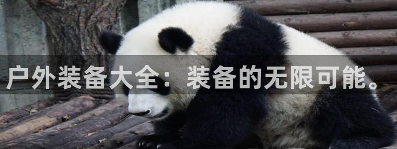 利记体育投注官网
