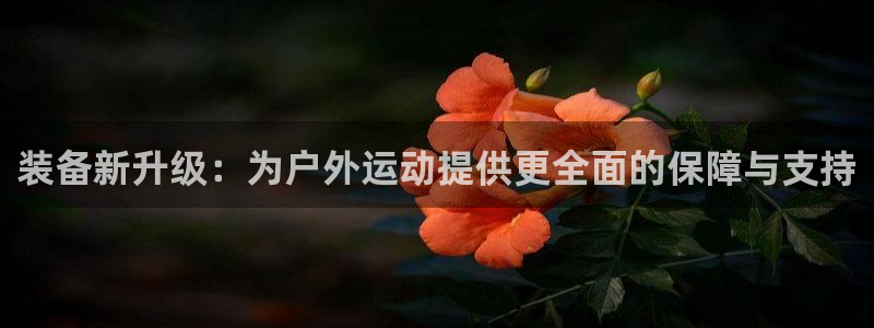 利记 利记官网