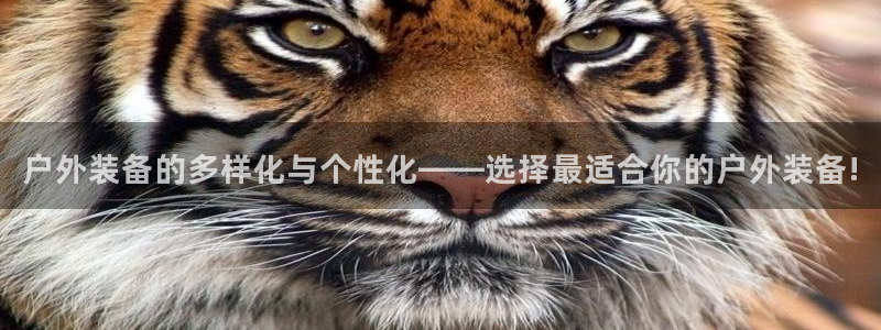 利记集团官网