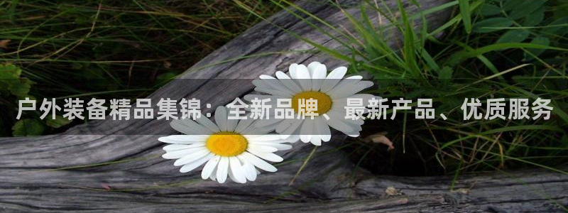 利记网官网网址