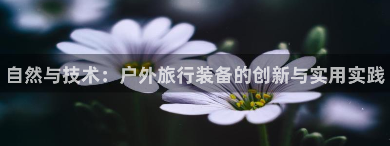 利记官网首页