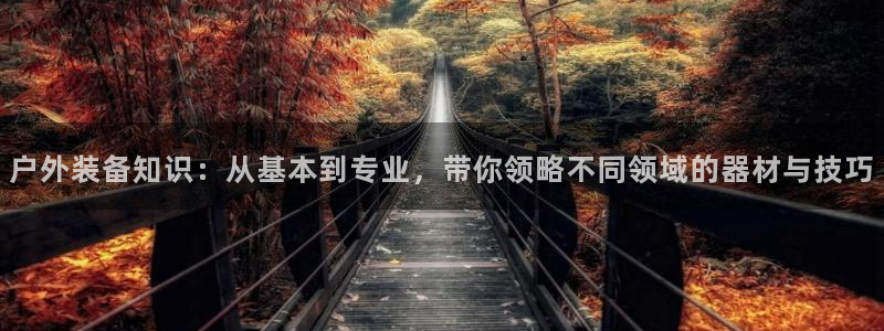 sbo利记体育官网
