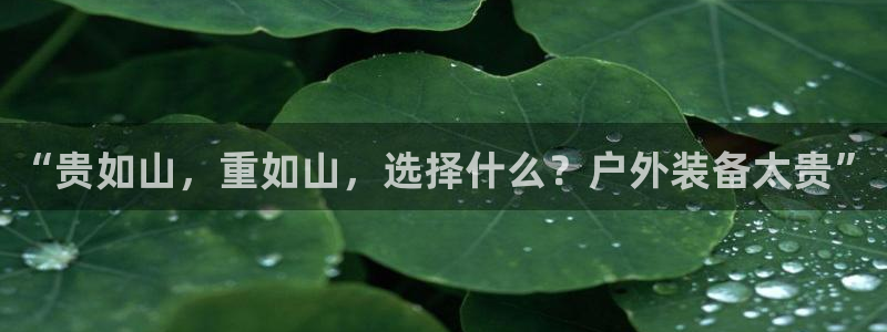 利记坊平台唯一官网