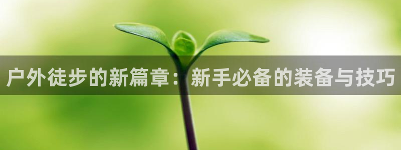 利记官网入口