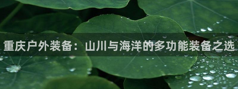 利记官网是真的吗