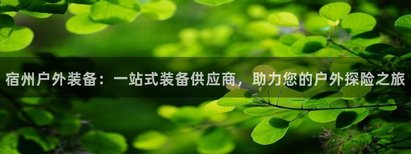 利记官网香菜1