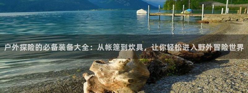 利记官网行业领导者