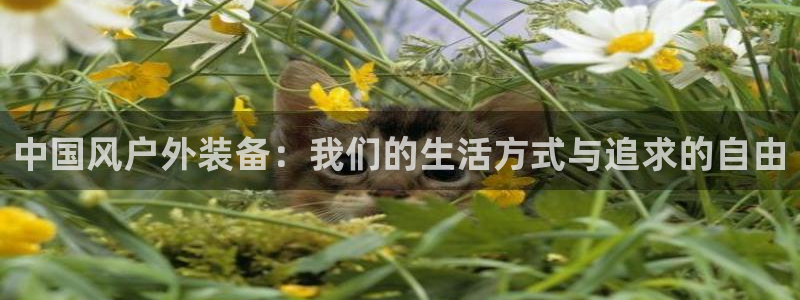利记 官网