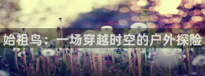 利记娱乐会员金钻官网