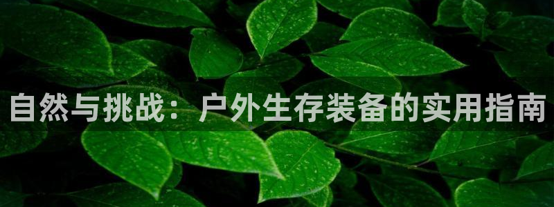 利记app官网真人游戏