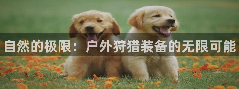 利记官网登录入口