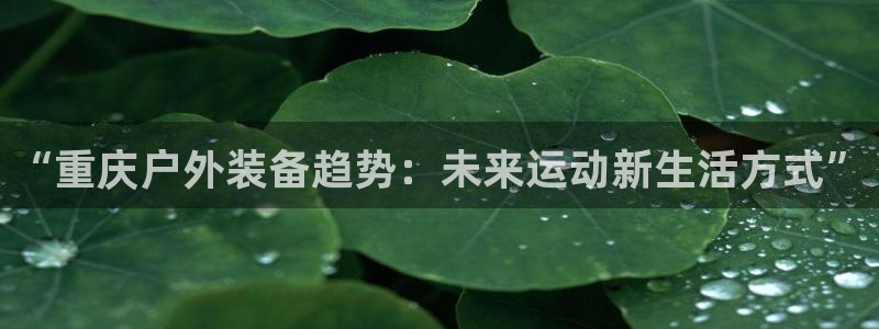 利记体育投注官网