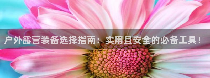 利记游戏官网