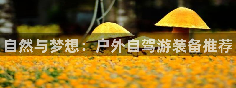 利记体育官网地址