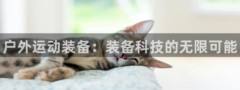 利记网官网网址