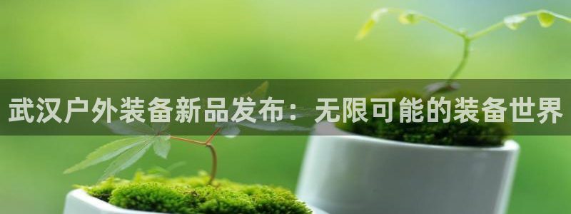 利记官网是真的吗