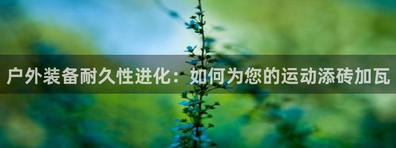 利记手机官网银河网