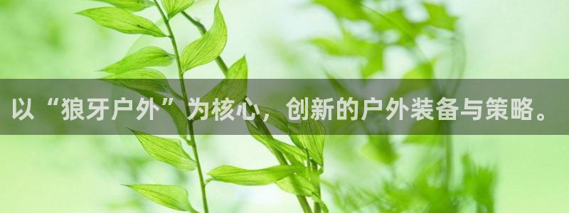 sbotop利记官网