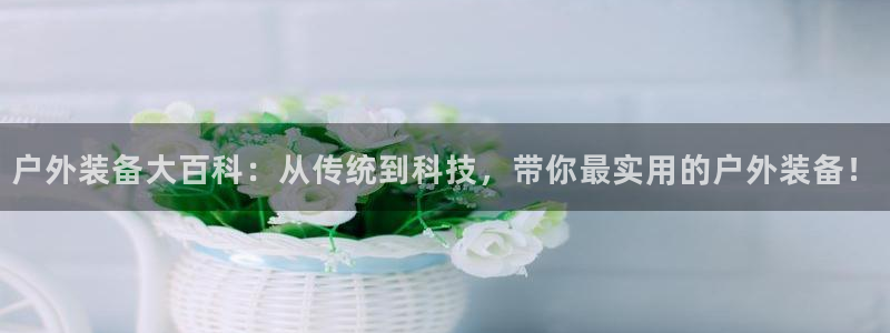 利记平台官网