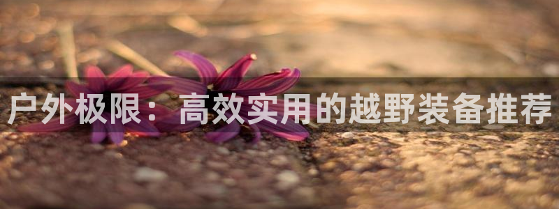利记坊官网