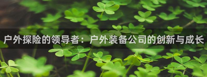 利记体育手机版官网