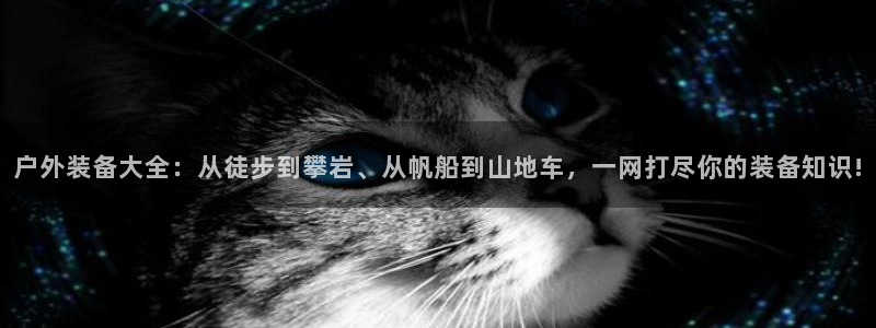 利记sbobet官网
