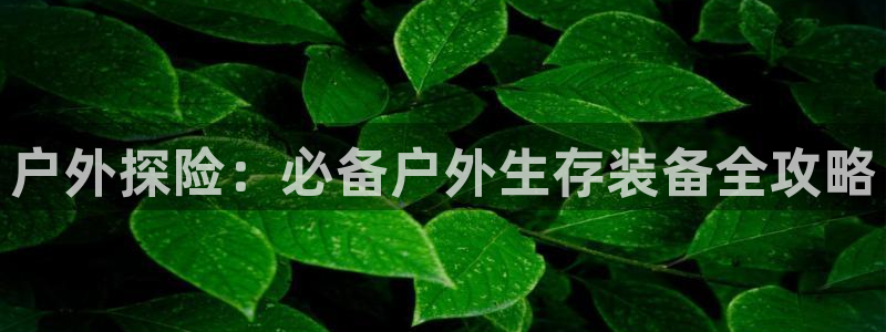 利记彩票官网网址官网hd71