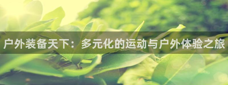 利记体育官网