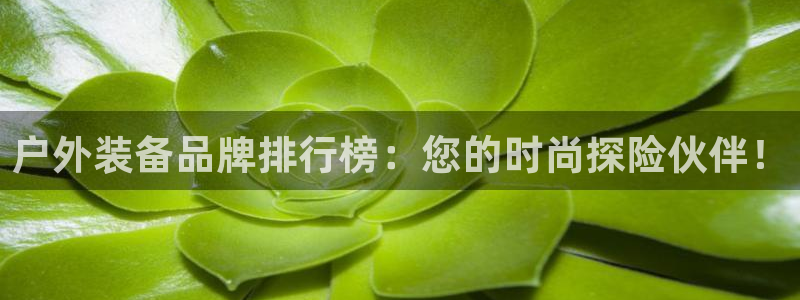 利记88官网app