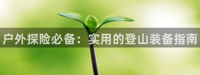 利记官网app下载网址日博官网网址