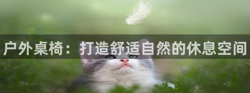 利记官网加盟