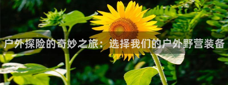利记官网是多少