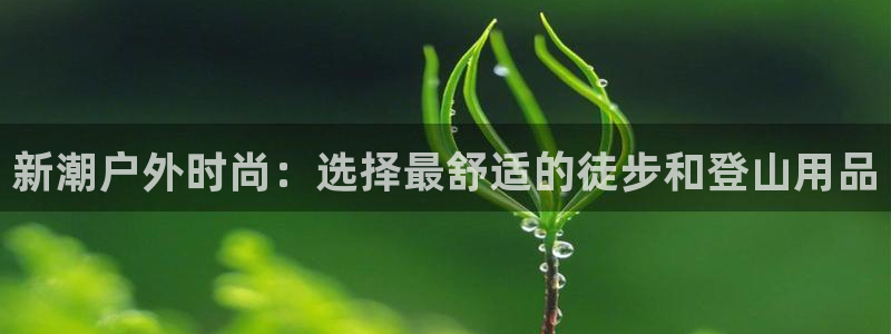 利记官网备用网址