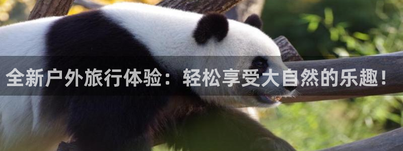 澳博官网app利记网址