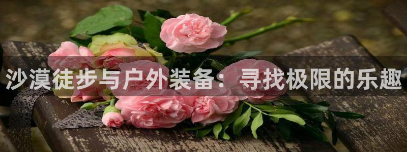 利记app官方官网登录