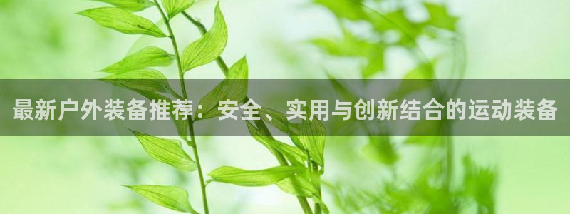 利记体育官网