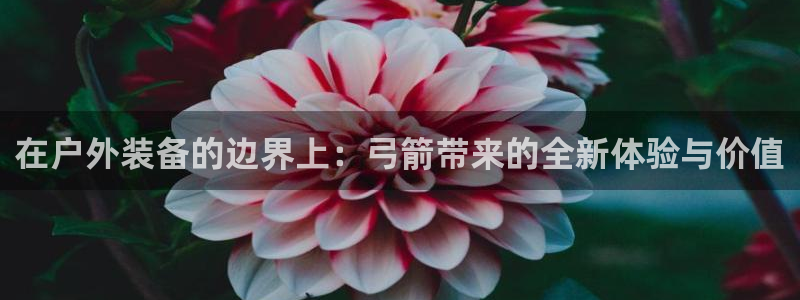 利记彩票官网hd71