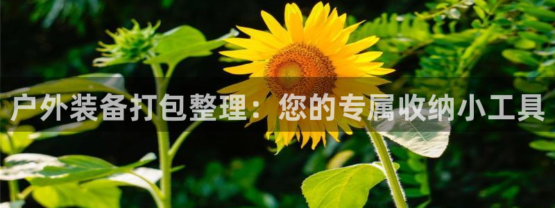 利记厨具官网售后