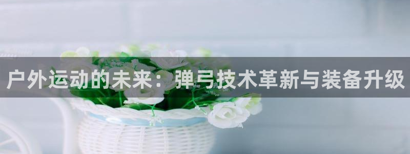 利记手机官网