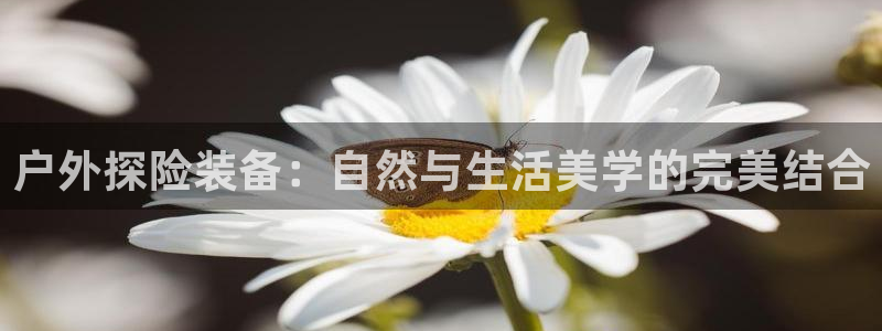利记投注平台官网